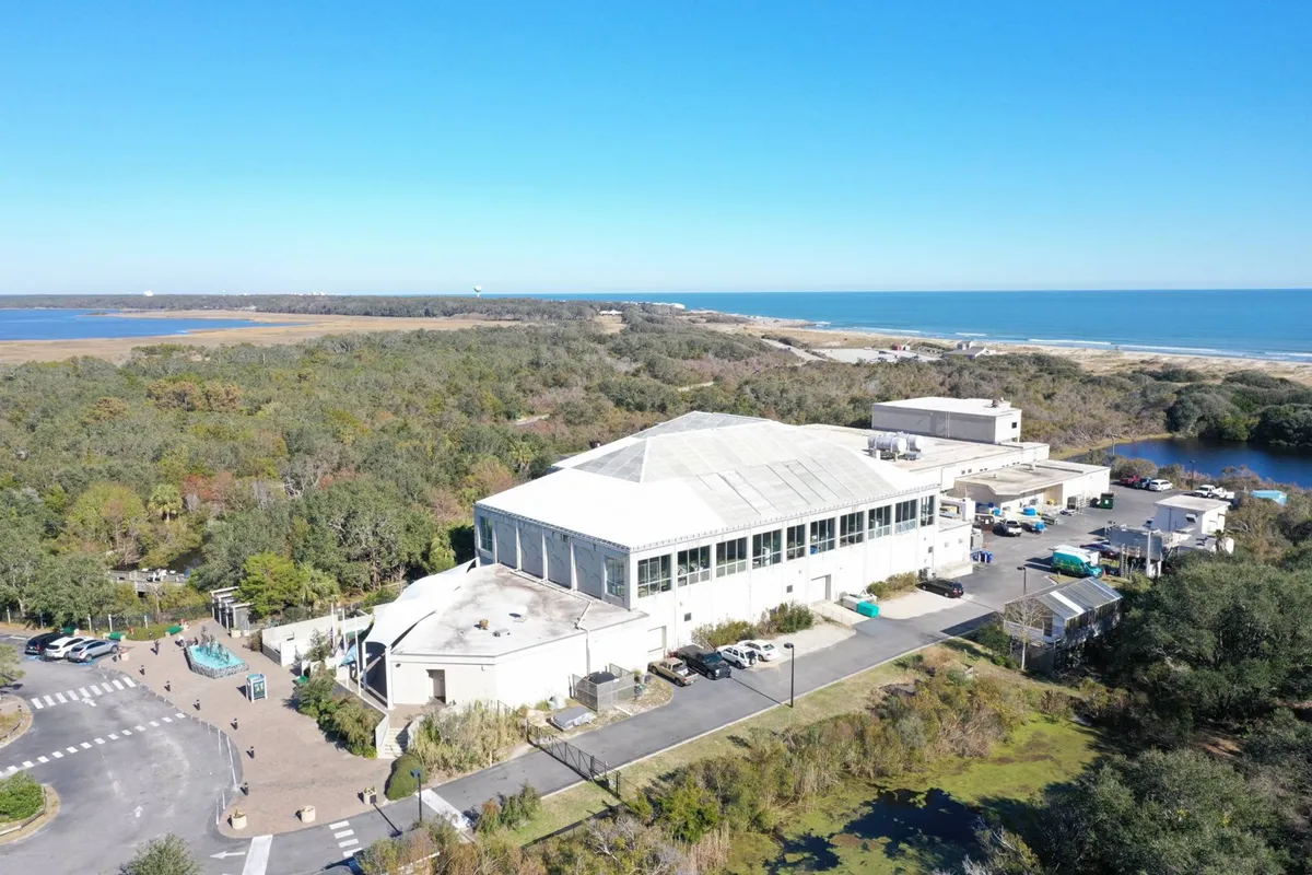 This image displays the exterior of a large building surrounded by lush greenery and situated near a body of water, likely representing an iconic local attraction such as the NC Aquarium at Fort Fisher. The coastal setting and tranquil mood suggest both educational and nature-driven opportunities for families.